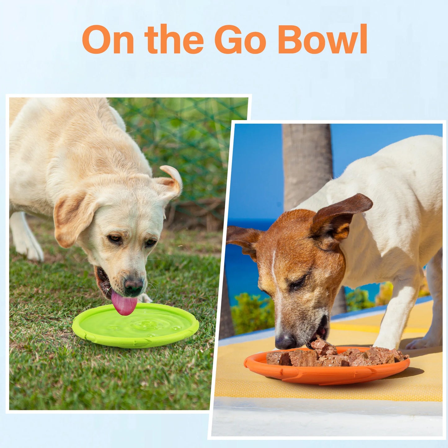 Dog Flying Disc 2 Pack Durable Rubber Floating Saucer Toy