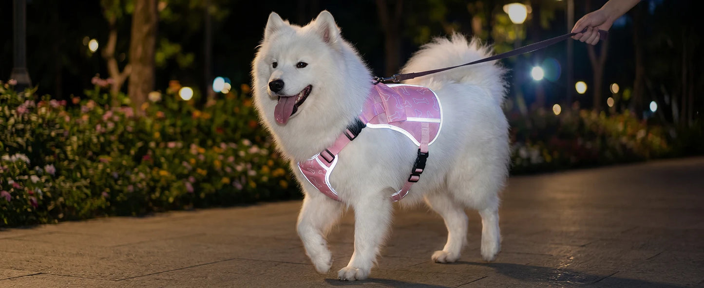 Cooling Vest For Dogs With Replaceable Cooling Packs, Lightweight