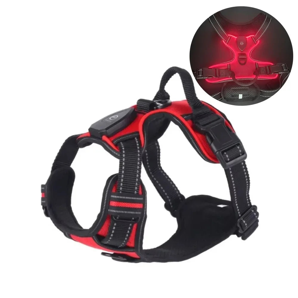 LED Light Up Dog Harness With Adjustable Rechargeable Battery