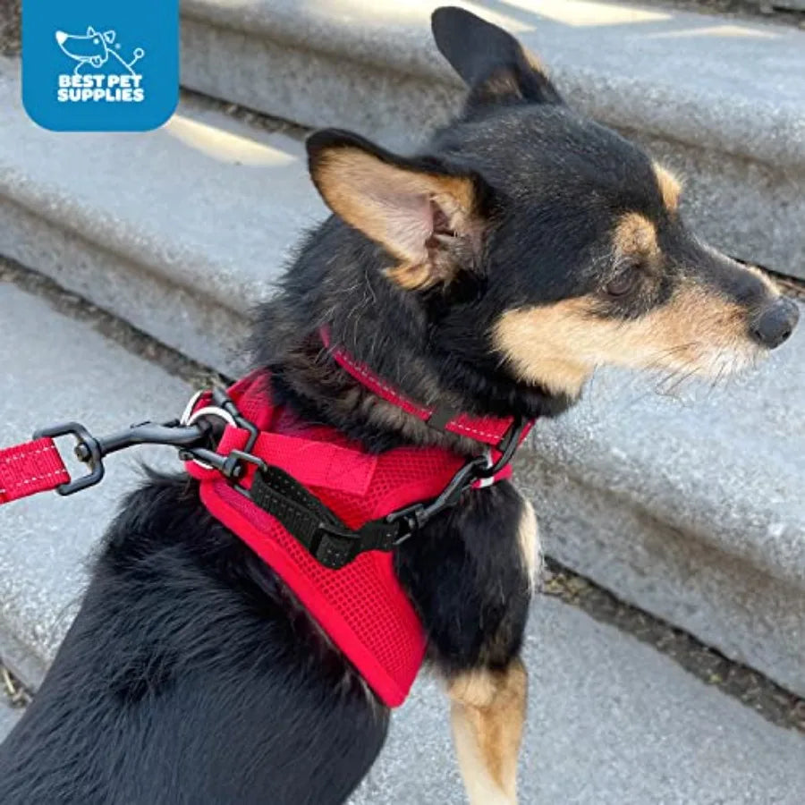 Dog Collar Safety Clip With Dual Clasps For Training