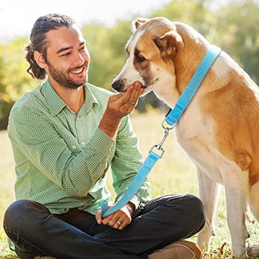 Eight-Piece Nylon Dog Collar And Leash Set Adjustable Durable Design