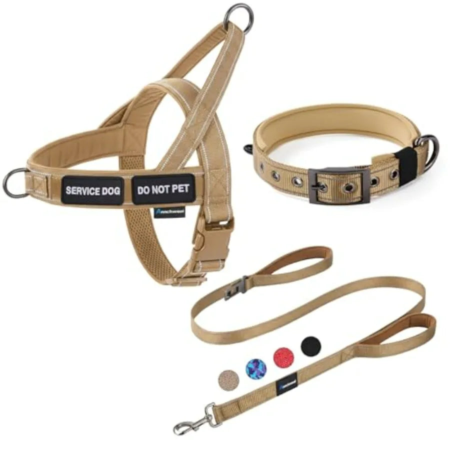 No Pull Dog Harness And Leash Set With Double Handle