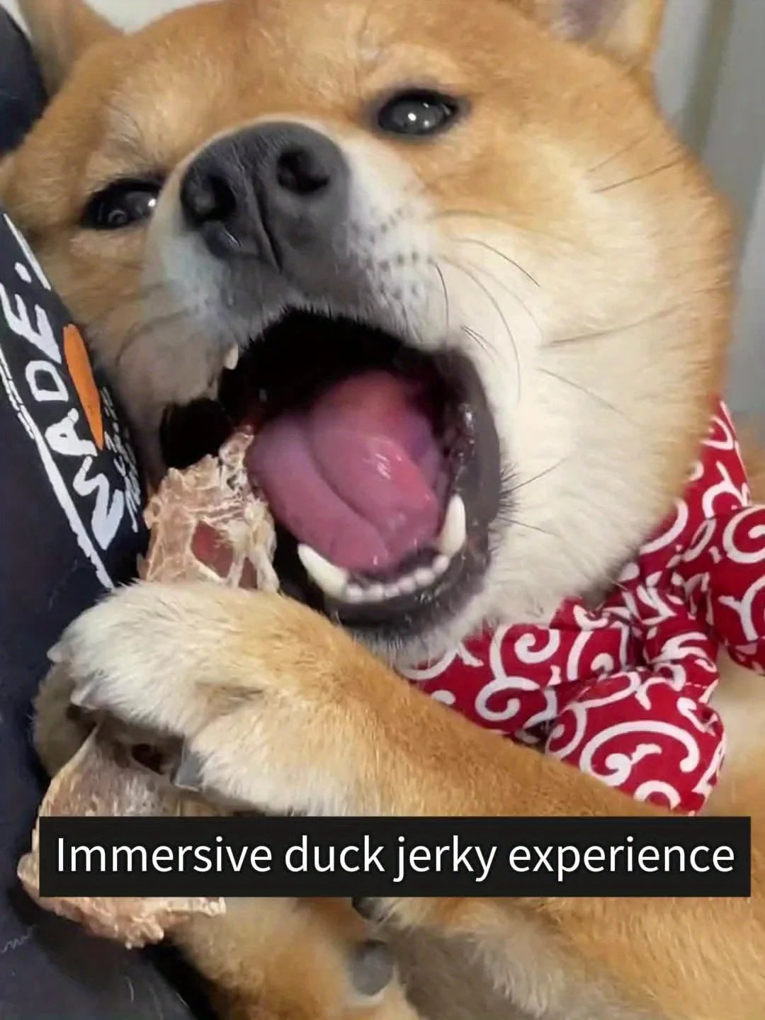 Helety Duck Jerky And Daily Dog Snacks High Protein Chews