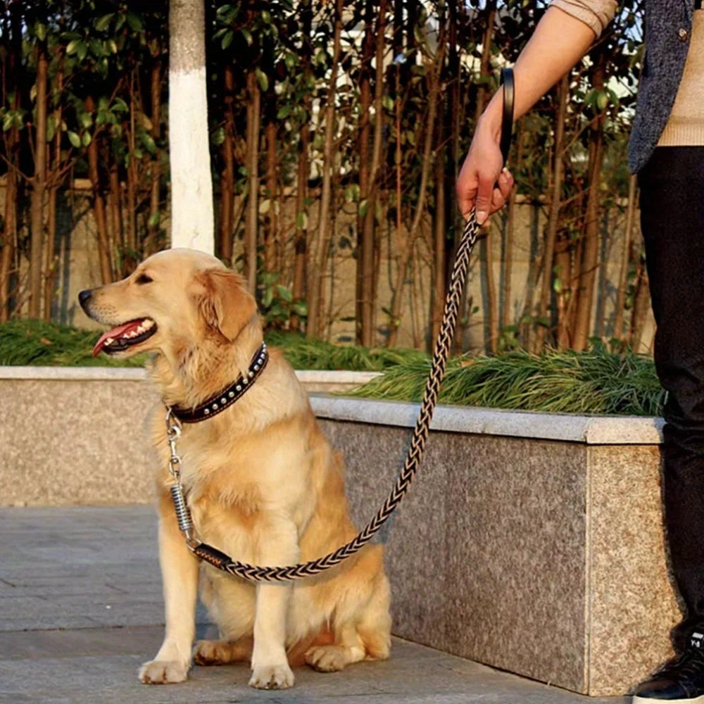 Eight-Strand Genuine Cowhide Braided Dog Leash, Heavy Duty Training Lead