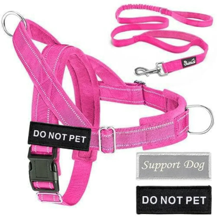No Pull Dog Harness And Leash Set With Adjustable Soft Padded Vest Front Clip