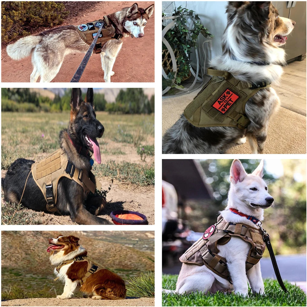 PETRAVEL Military Malinois Dog Harness Vest Set With Leash Patches