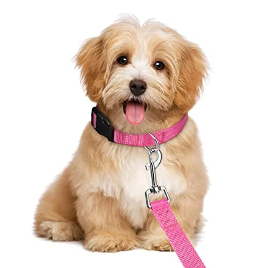Eight-Piece Nylon Dog Collar And Leash Set Adjustable Durable Design