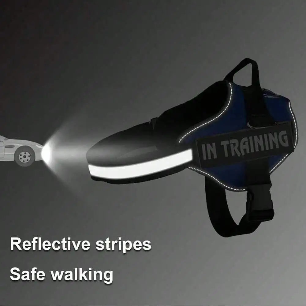 Reflective No Pull Dog Harness With Easy Control Handle