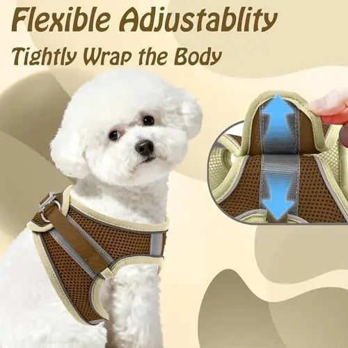 YTYIN Adjustable Dog Harness And Leash Set For Pets