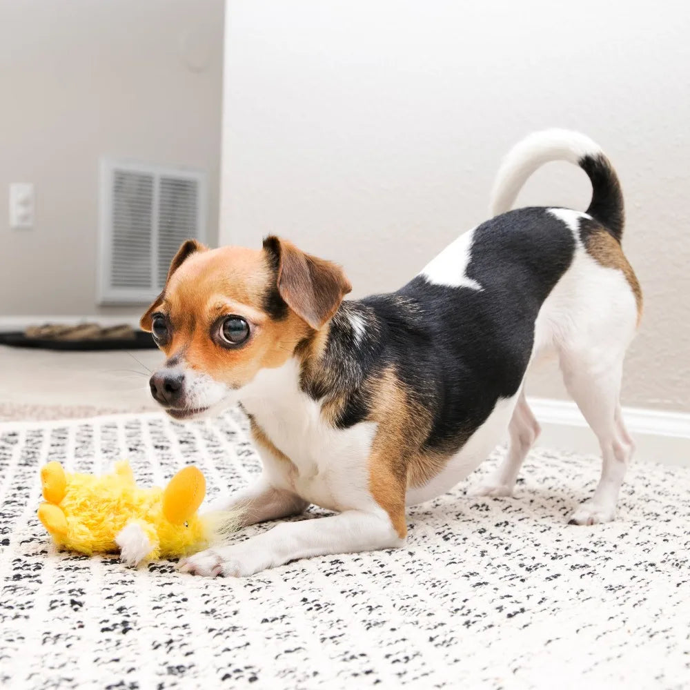 Squeaky Duck Dog Toy With Plush Chew And Loud Squeaker
