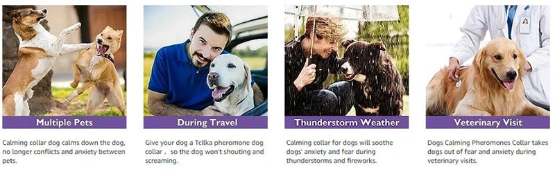 Dog Cat Calming Collar For Anxiety Relief Breakaway Quick Release