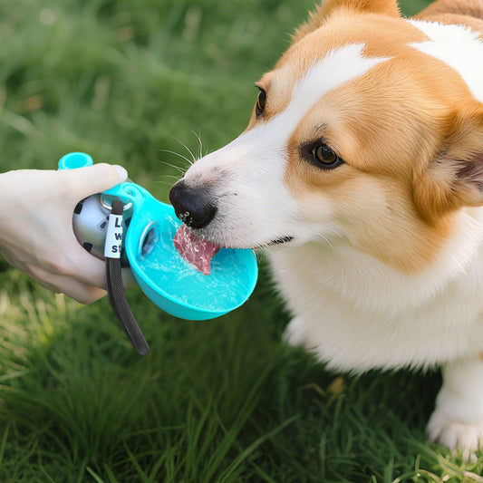 Portable Dog Water Bottle With Silicone Bowl No Spill