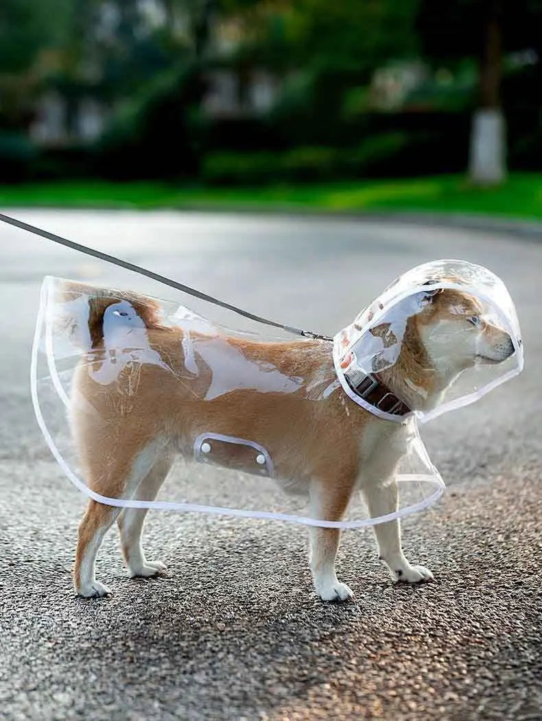 Transparent Waterproof Dog Raincoat With Hat
