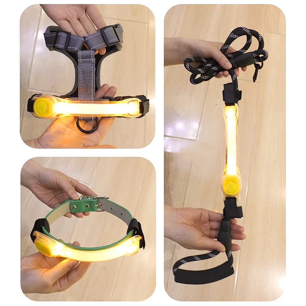 Waterproof Dog Anti Lost Safety Glowing Collar With LED Light