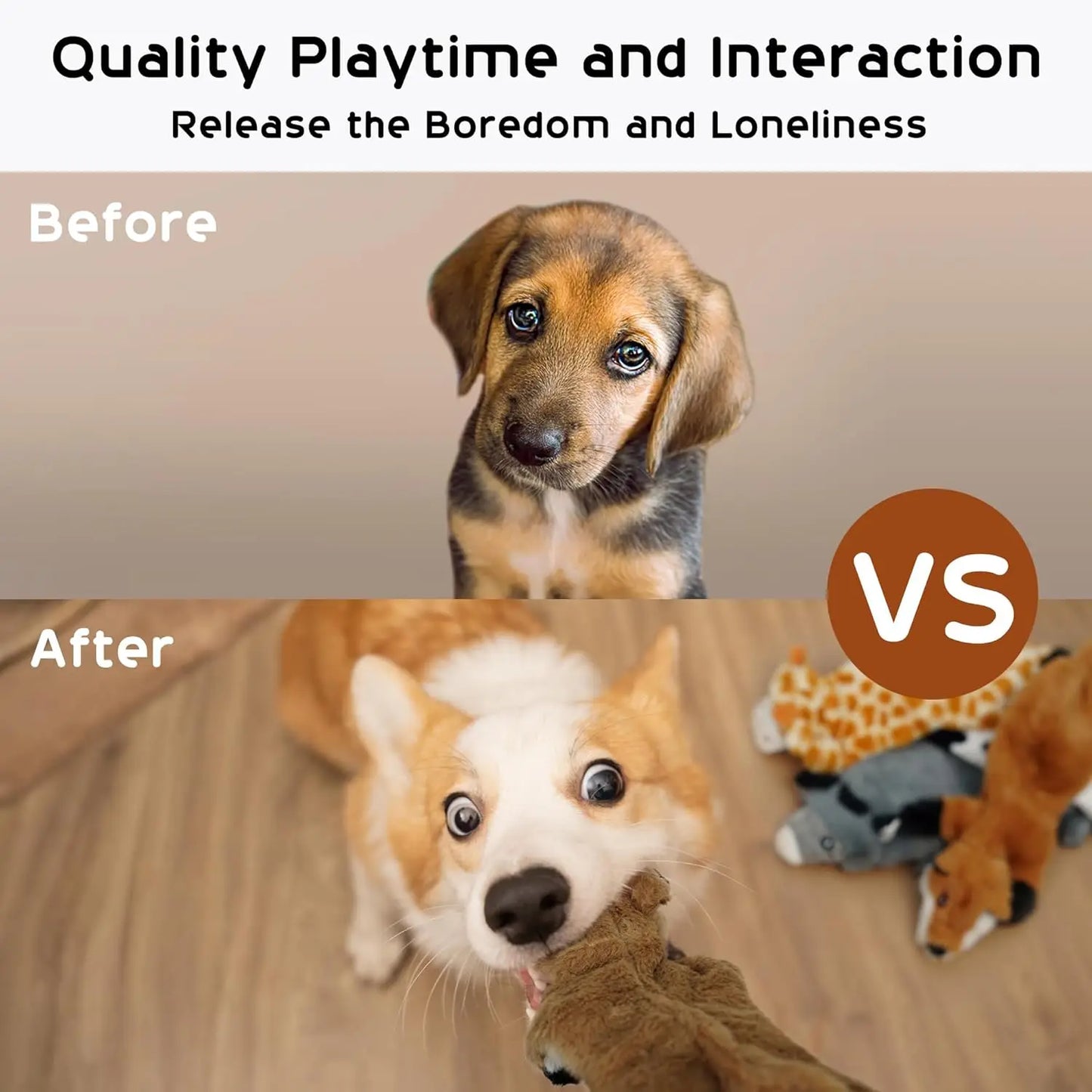 Dog Squeaky Toy Set Five Crinkle Plush No Stuffing