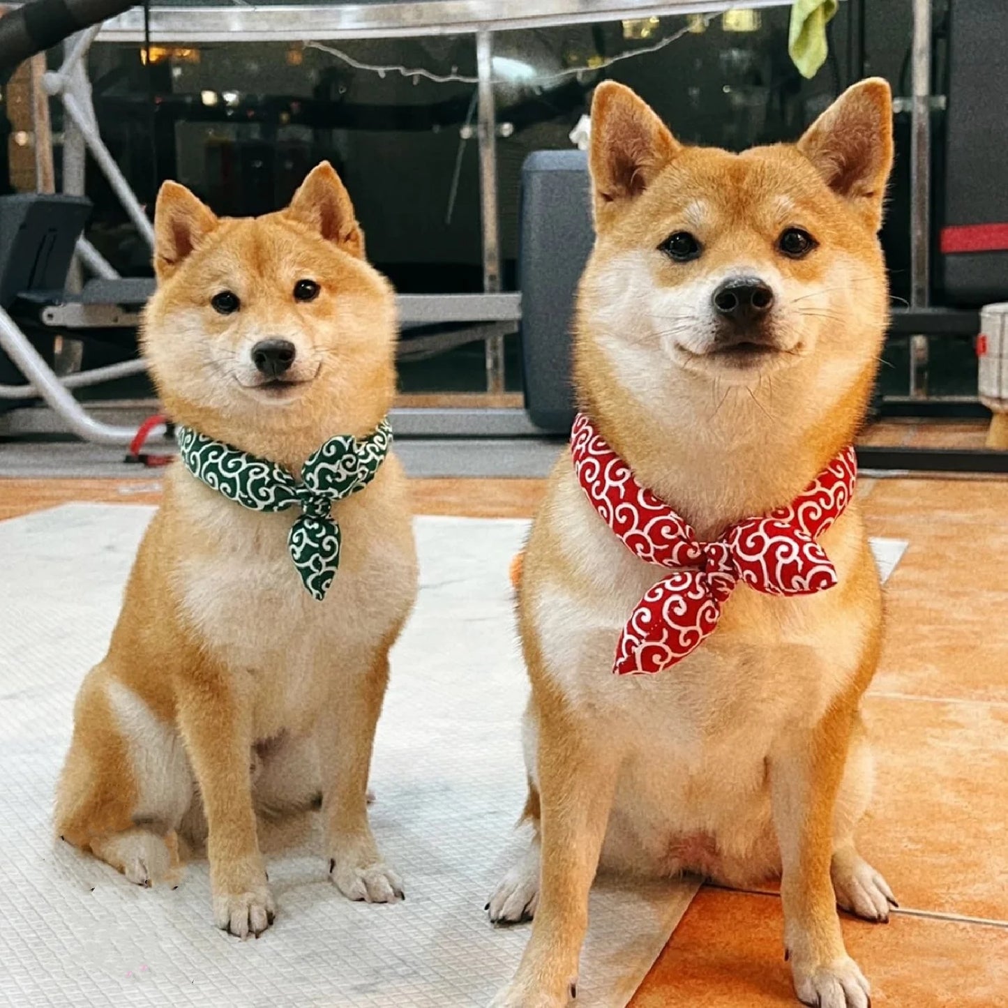 Soft Cotton Dog Bandana Washable Japanese Farmhouse Pet Collar Accessory