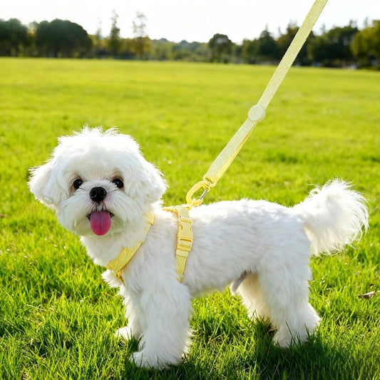 DKSTINYE Adjustable Puppy Harness Set With Reflective Collar And Leash
