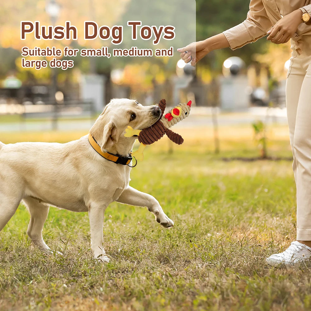 5 Pack Plush Squeaky Dog Toys Chew Bundle Value Collection