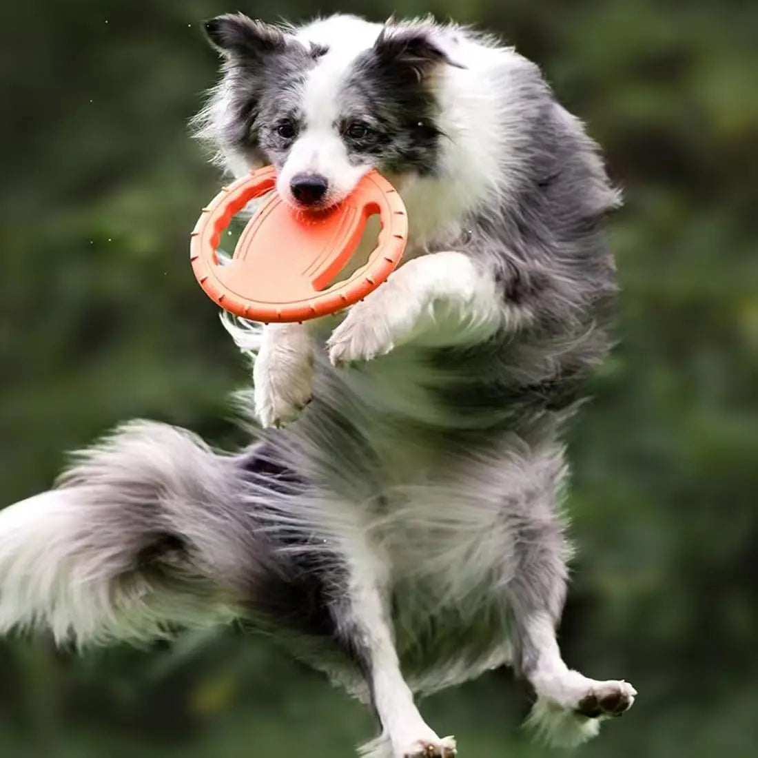 EVA Flying Disc Dog Training Toy For Outdoor Interactive Play