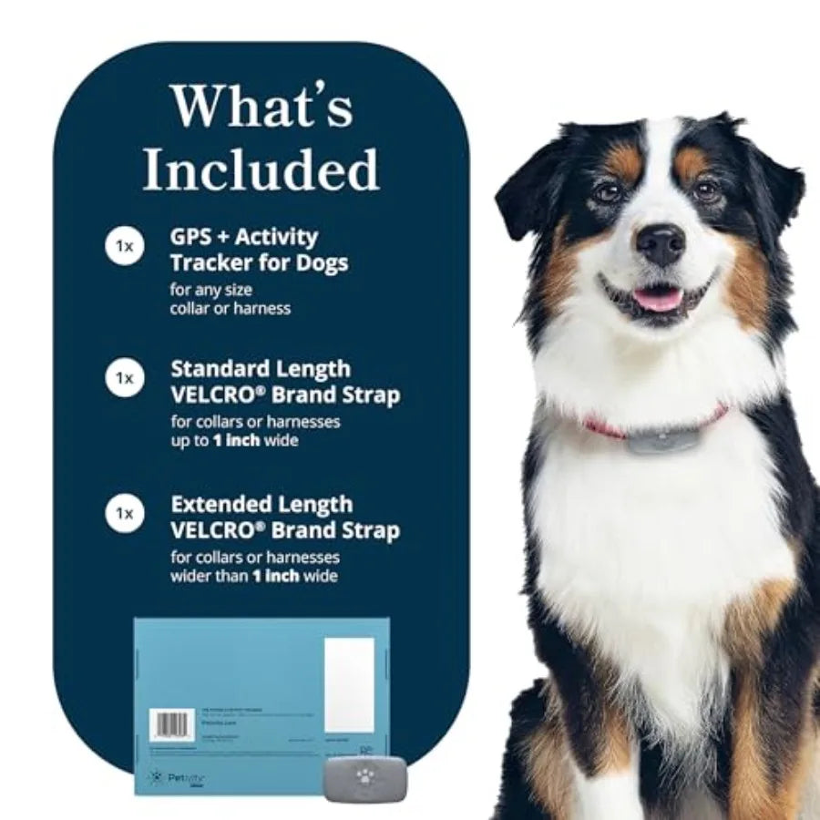 Purina Dog GPS Tracker Waterproof Real-Time Tracking Collar