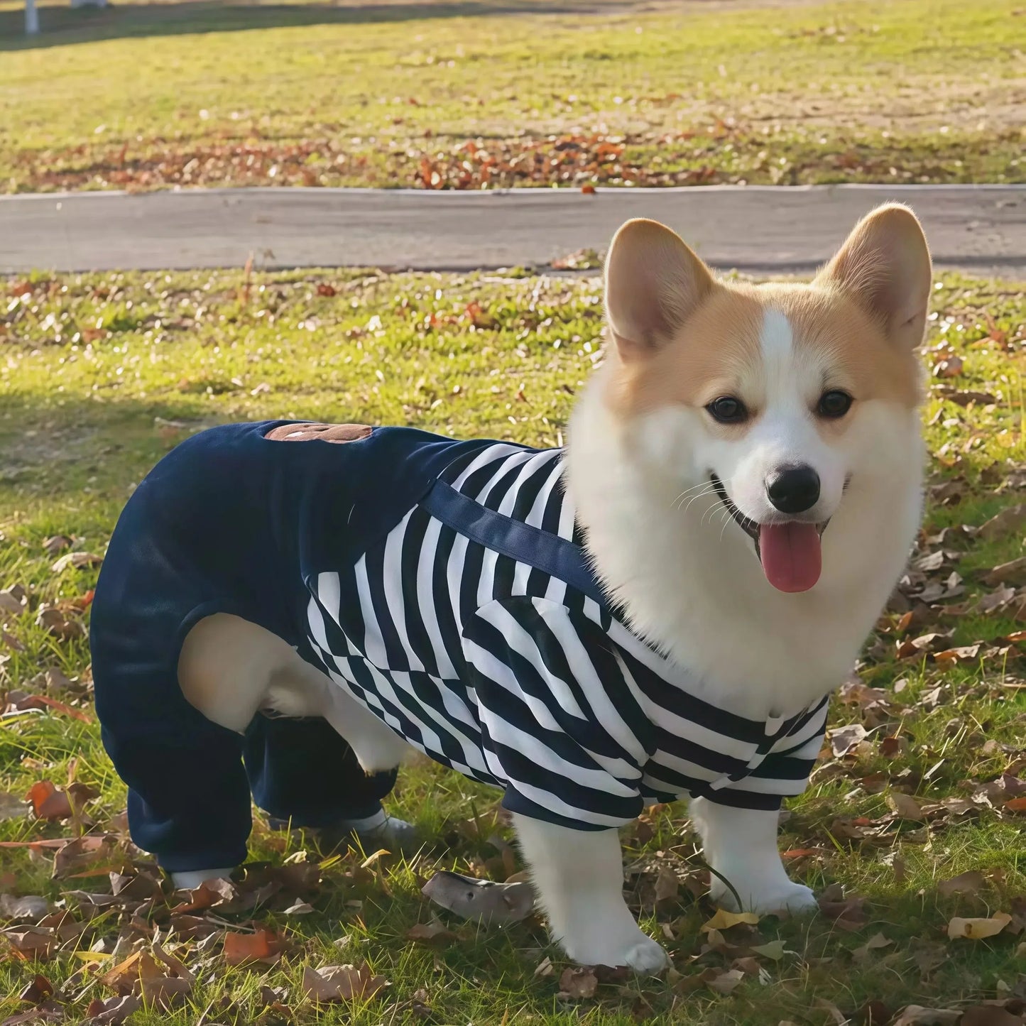 Caiban Autumn Winter Dog Fleece Jumpsuit Coat With Leash Ring