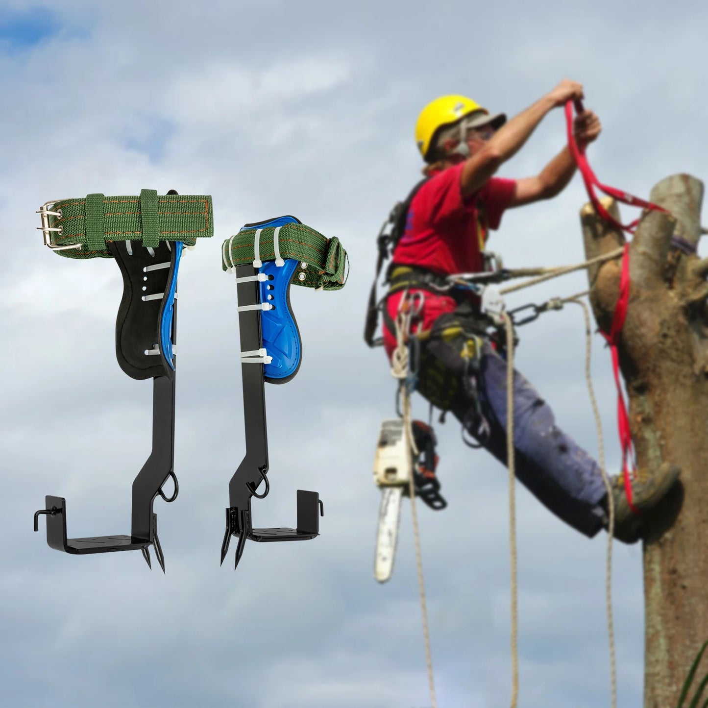 Professional Tree Climbing Spikes Kit With Safety Harness Capacity 220lbs