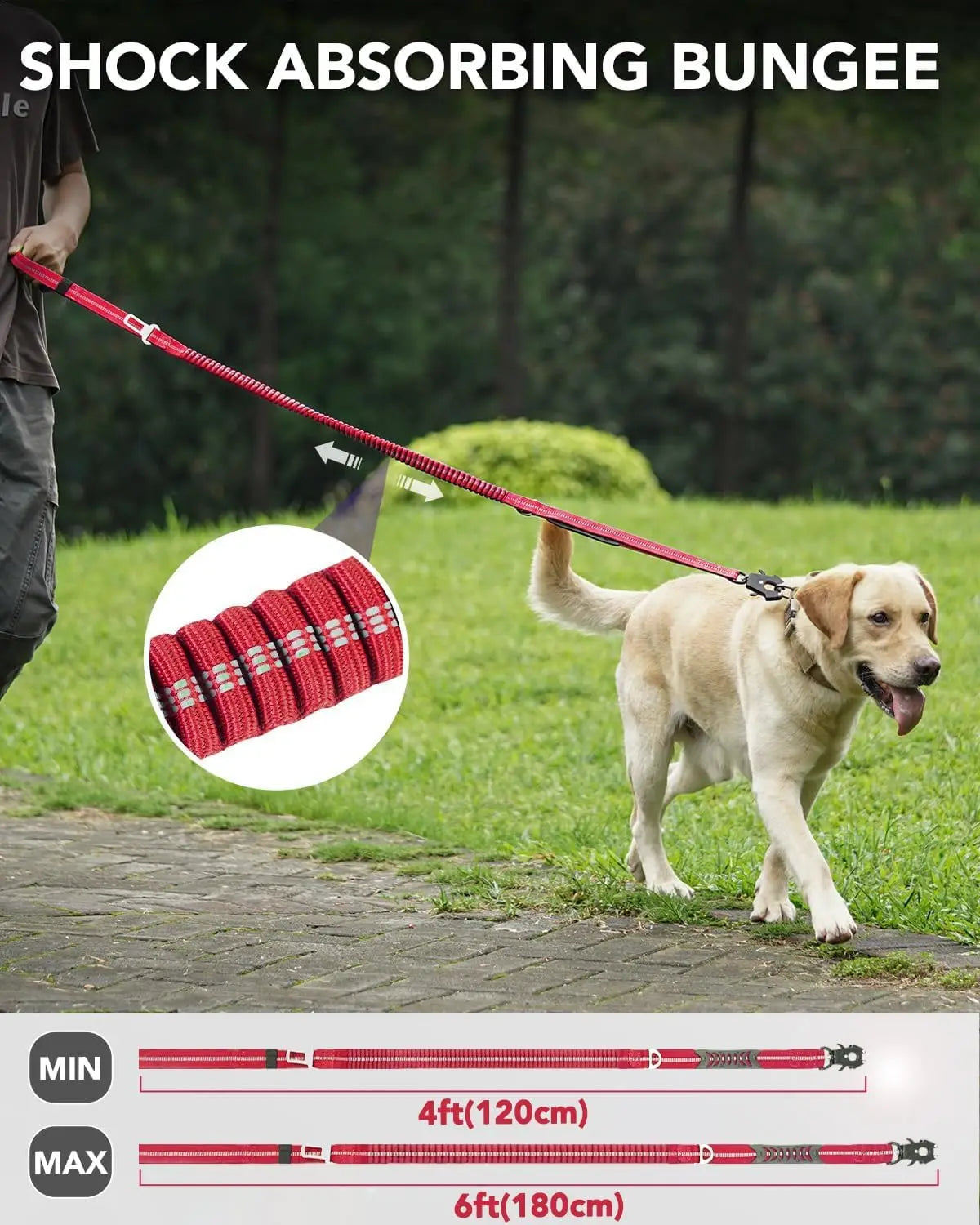 Reflective Shock Absorbing Pet Leash With Car Seatbelt For Dogs