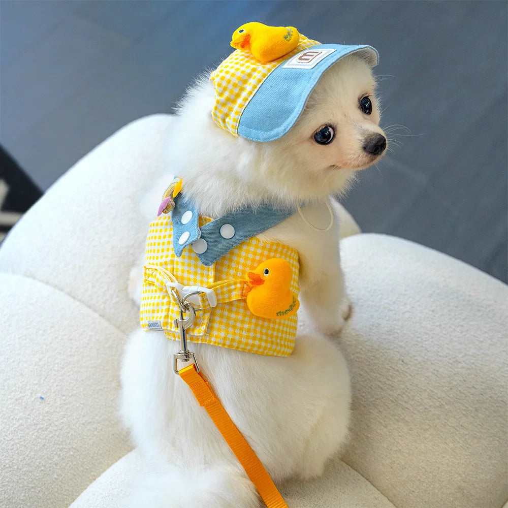 Duck Frog Spring Summer Pet Harness Set