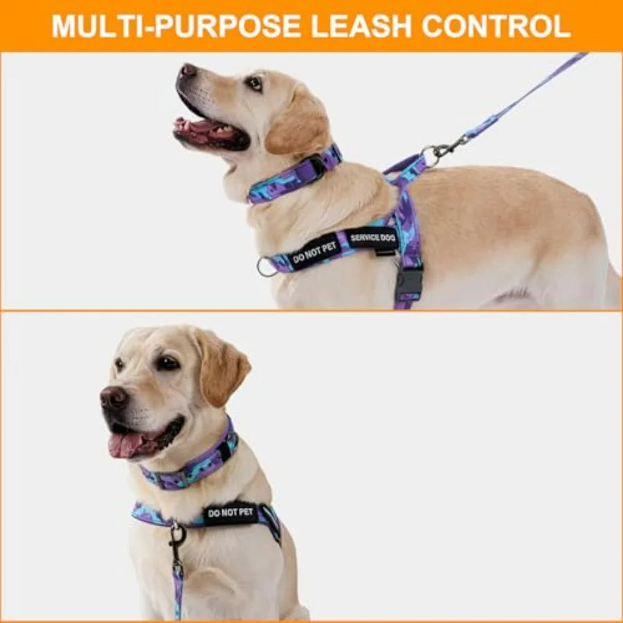 No Pull Dog Harness And Leash Set With Double Handle