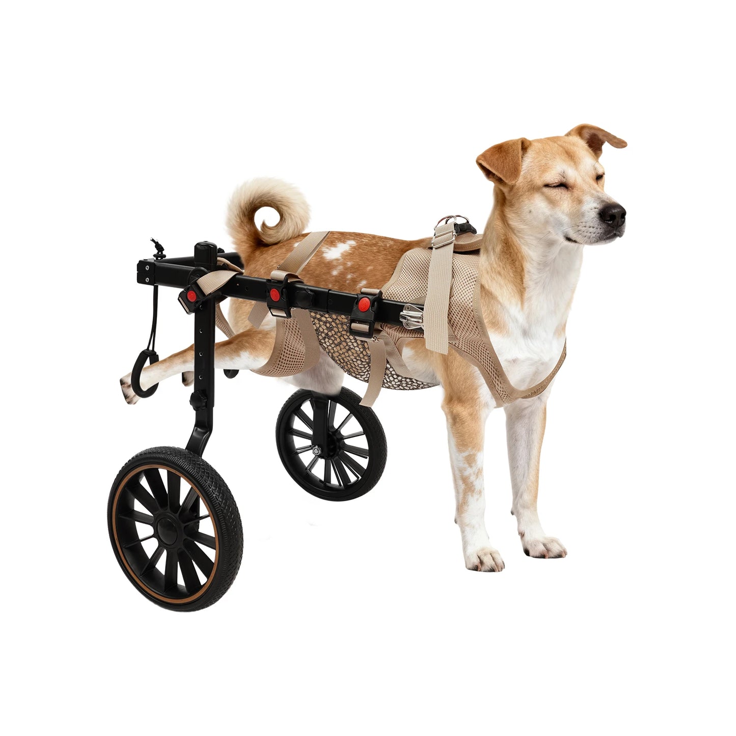 Adjustable Dog Wheelchair Hind Leg Walker Aluminum Alloy Pet Cart