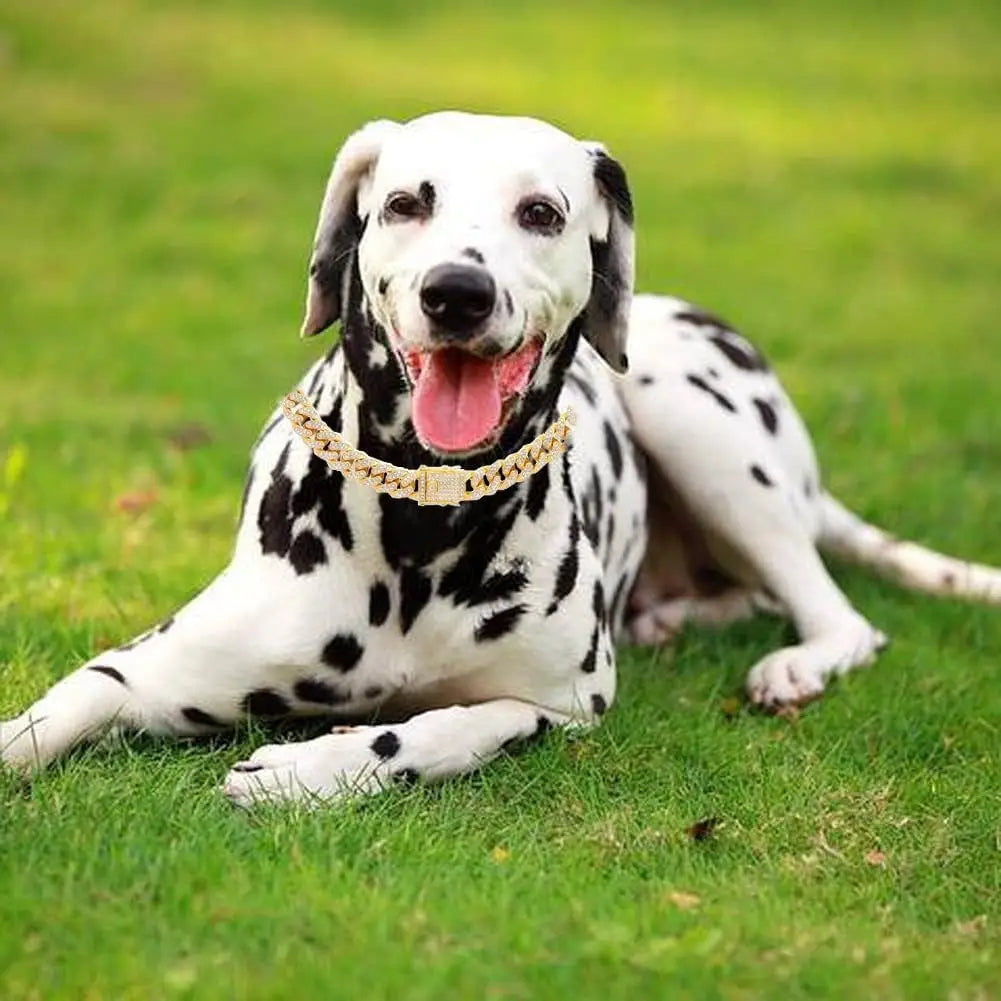 Stainless Steel Cuban Chain Dog Collar Adjustable Buckle