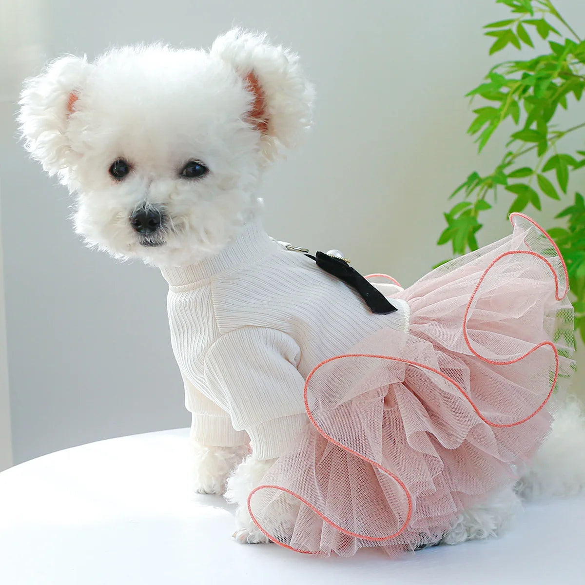 Christmas Checker Dog Dress From Pawstrip