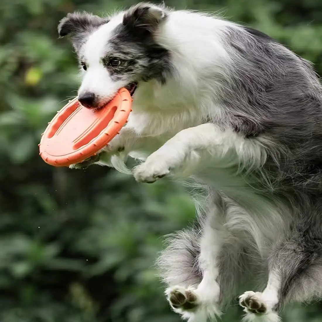 EVA Flying Disc Dog Training Toy For Outdoor Interactive Play