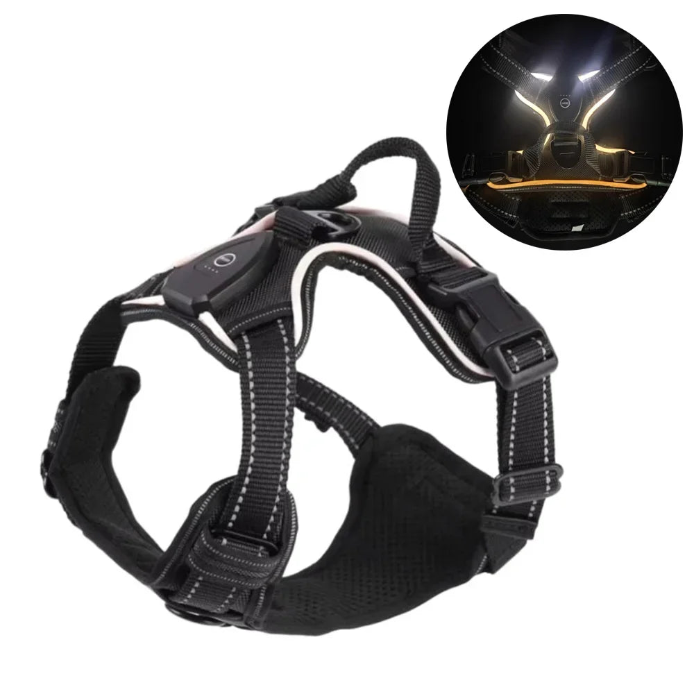 LED Light Up Dog Harness With Adjustable Rechargeable Battery