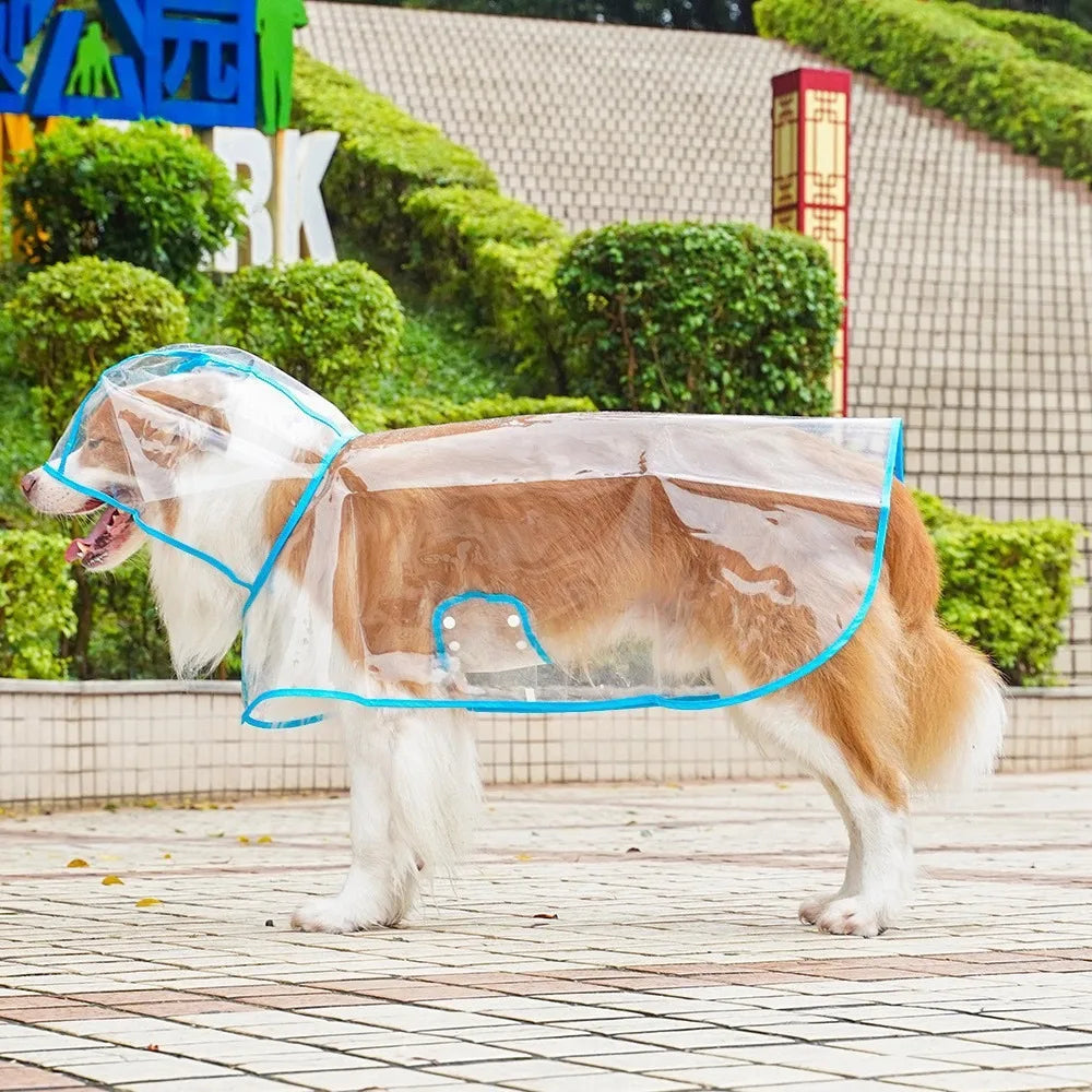 Transparent Waterproof Dog Raincoat With Hat