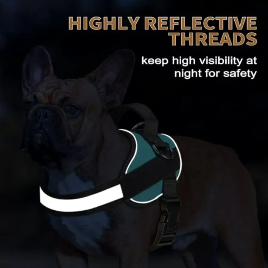 Essential No-Pull Dog Harness Reflective Vest With 3 Leash Clips