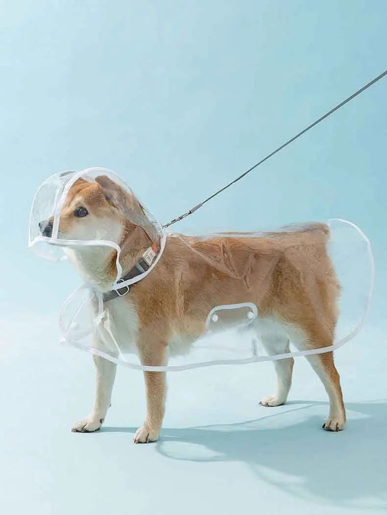 Transparent Waterproof Dog Raincoat With Hat