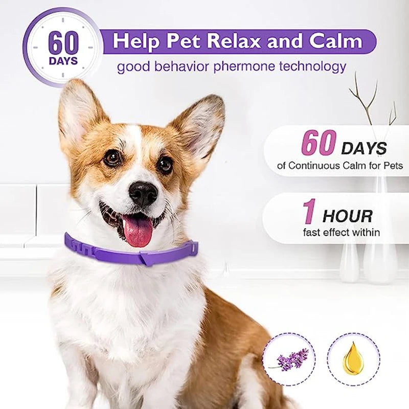 Dog Cat Calming Collar For Anxiety Relief Breakaway Quick Release