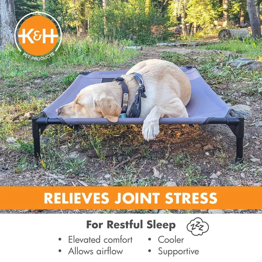Outdoor Elevated Dog Cot Hammock Bed With Breathable Mesh Cover