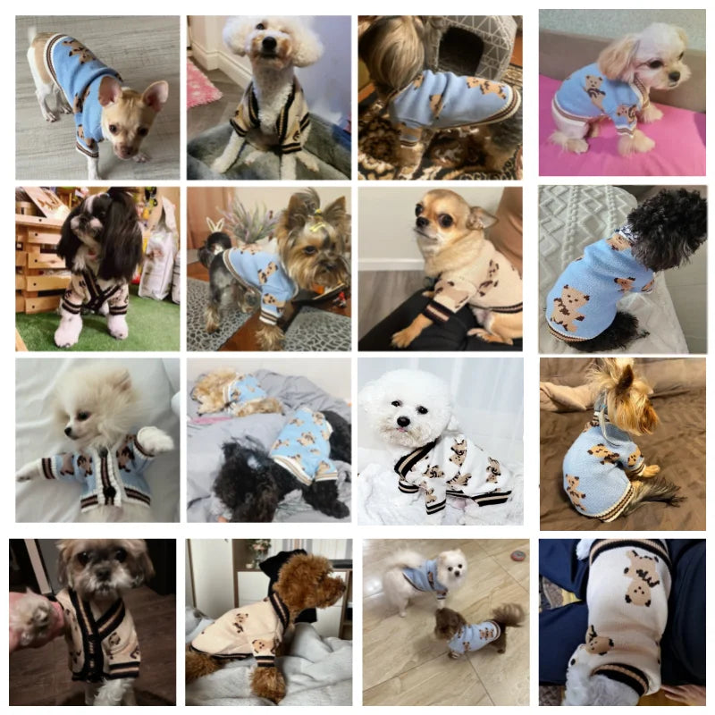 Striped Cotton Cardigan Sweater For Small Dogs And Kittens
