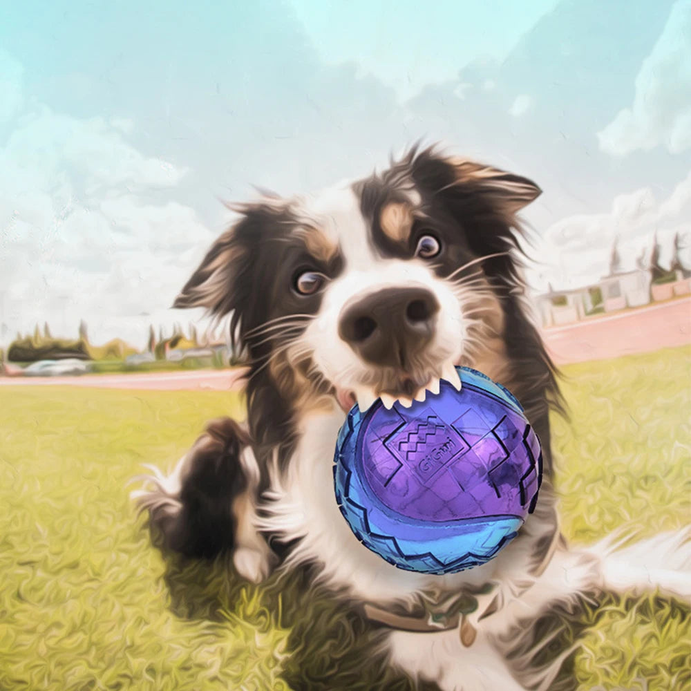 Dogs Squeaky Ball Toy Natural Rubber Chew For Outdoor Play