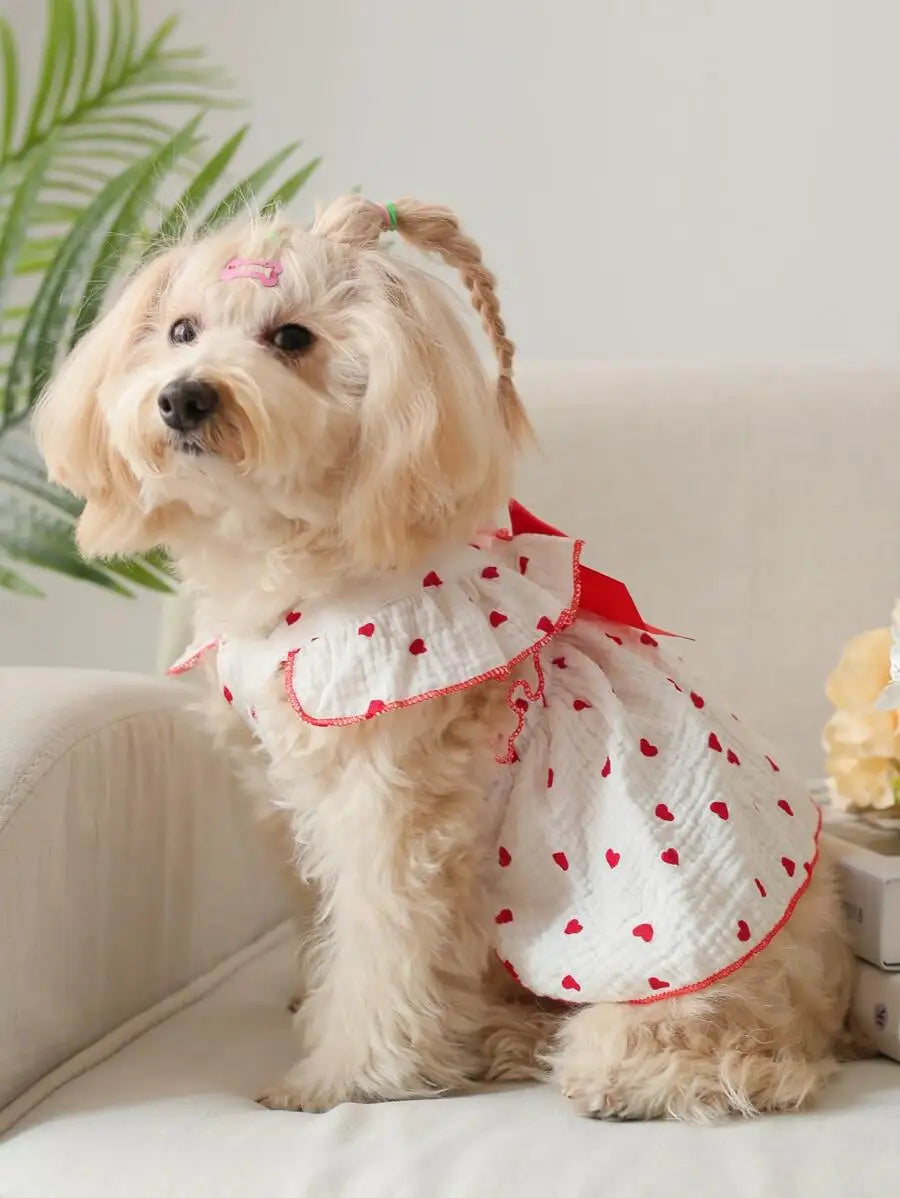 Valentines Day Heart Print Bow Decor Pet Dress For Dog