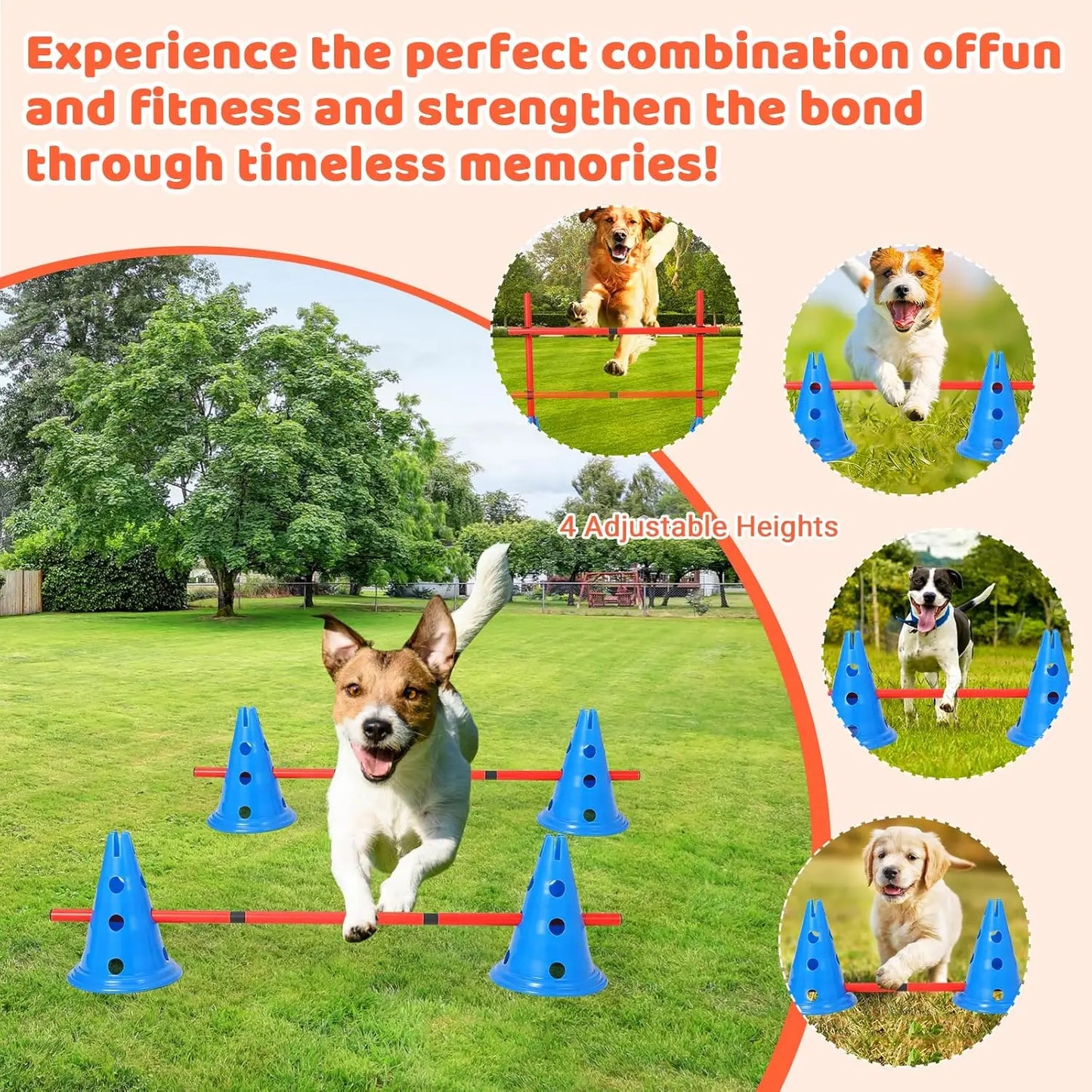 Dog Agility Hurdle With 12 Cones And 6 Rods Heavy-Duty