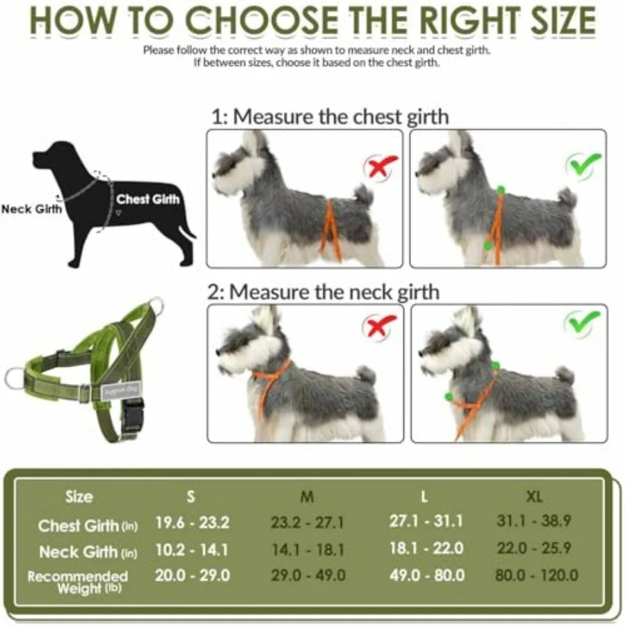 No Pull Dog Harness And Leash Set With Adjustable Soft Padded Vest Front Clip