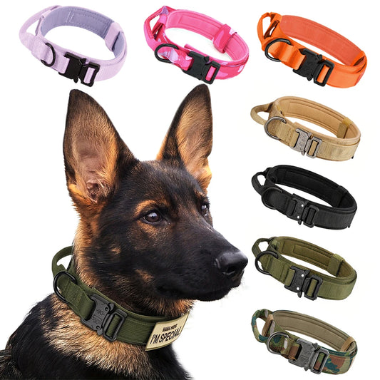 Dog Training Collar And Leash Set With Adjustable Control Handle