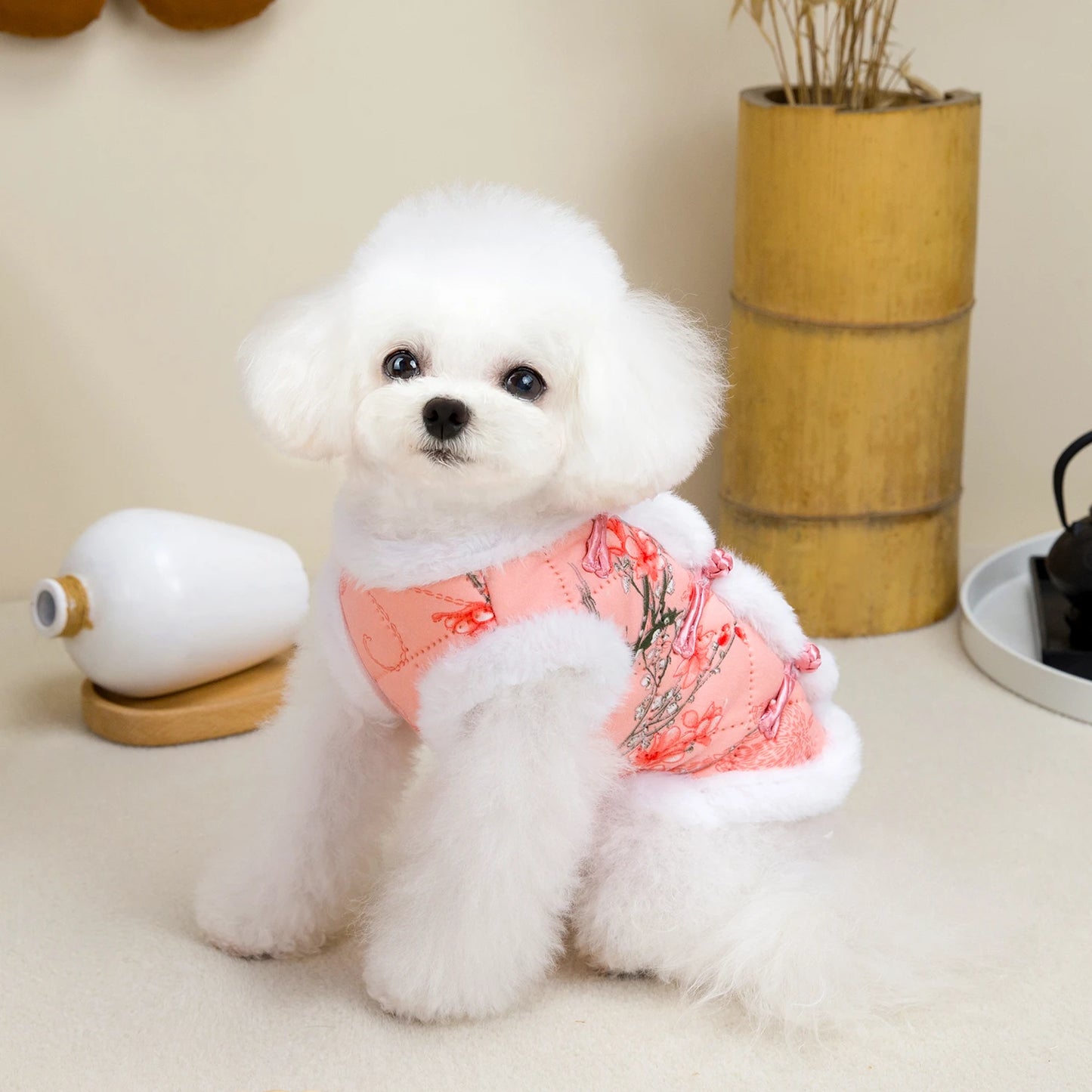 Warm Chinese Style Pet Dog Tang Suit Winter Jacket