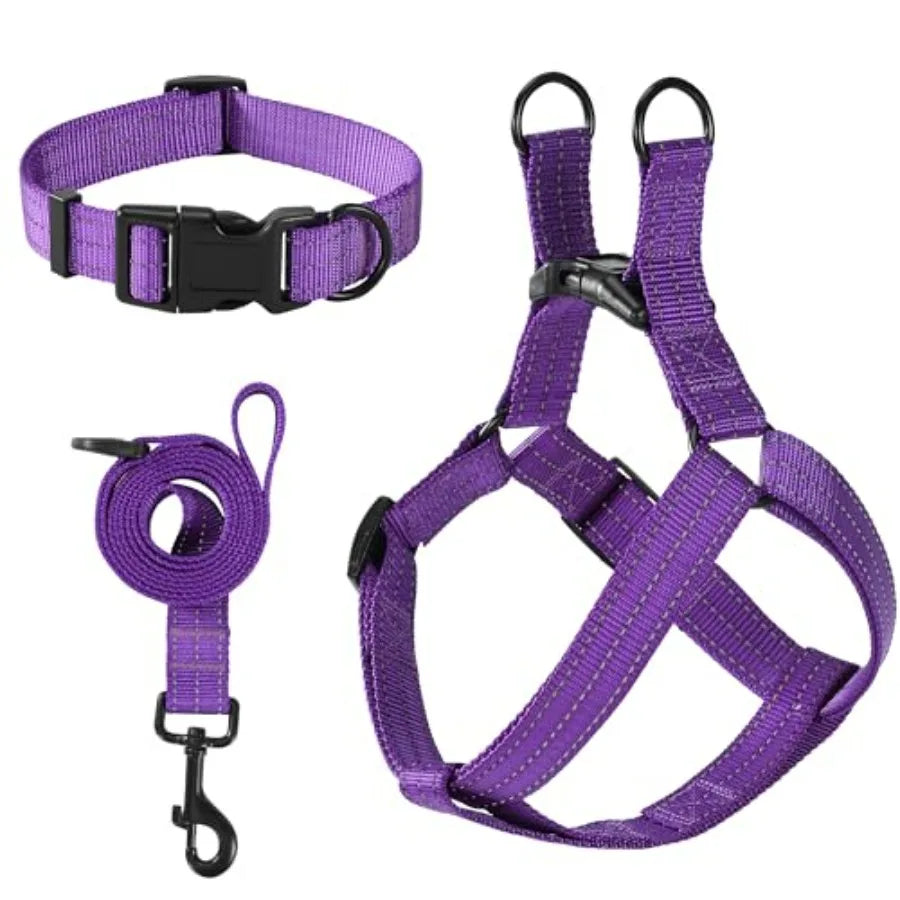 Night Nylon Double Adjustable Puppy Harness Collar Leash Set