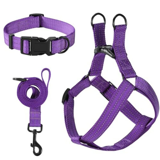 Night Nylon Double Adjustable Puppy Harness Collar Leash Set