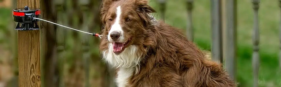 Lixit Bracket Mount and Stake Retractable Dog Leash Tie Outs