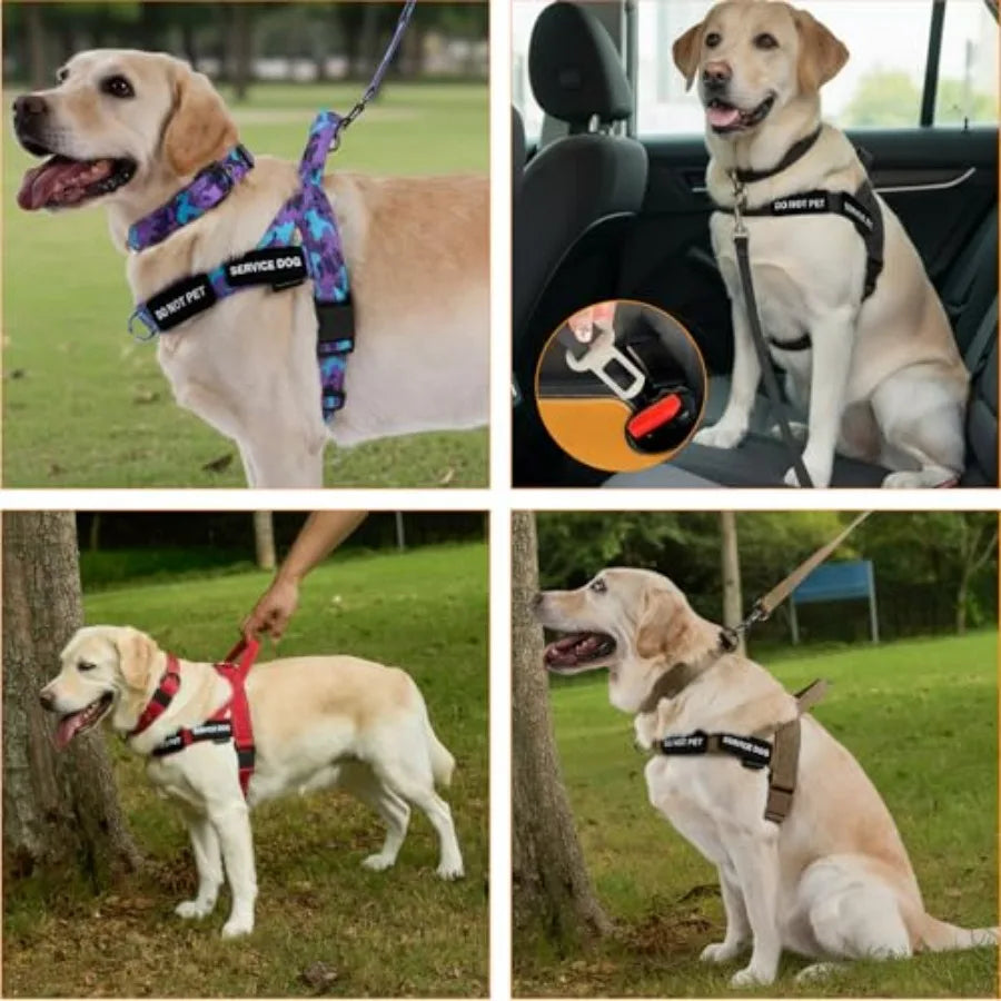 No Pull Dog Harness And Leash Set With Double Handle